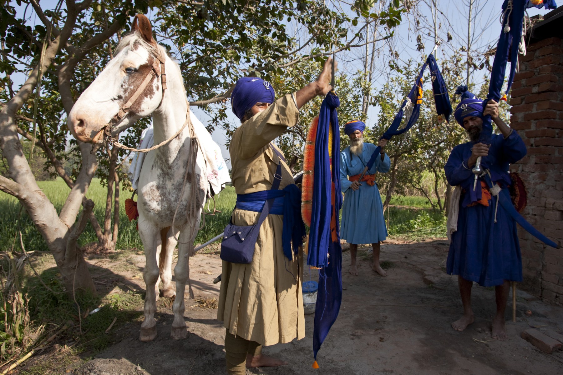 Nishan Sahibs and horse