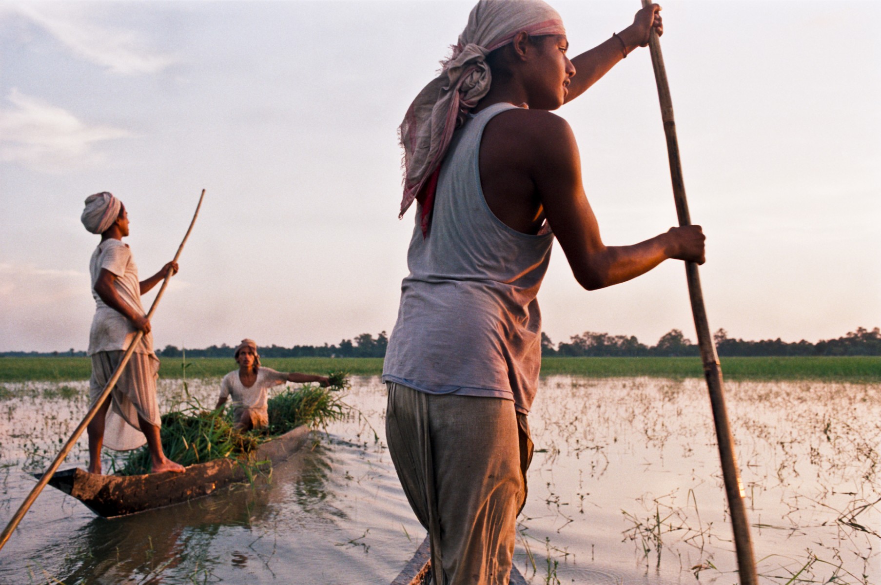 Returning with grass in boats, Majuli