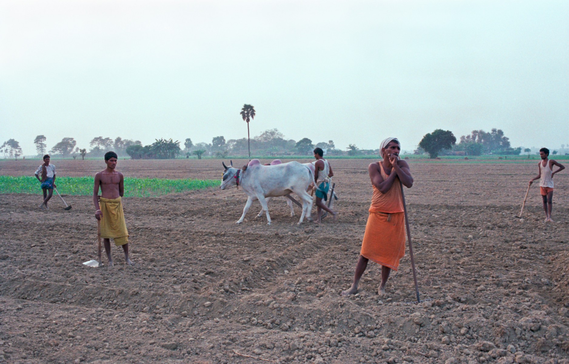 Working the land, Bihar